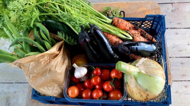 A blue crate on a wooden bench, with freshly-picked aubergines, onions, tomatoes, garlic, runner beans and carrots