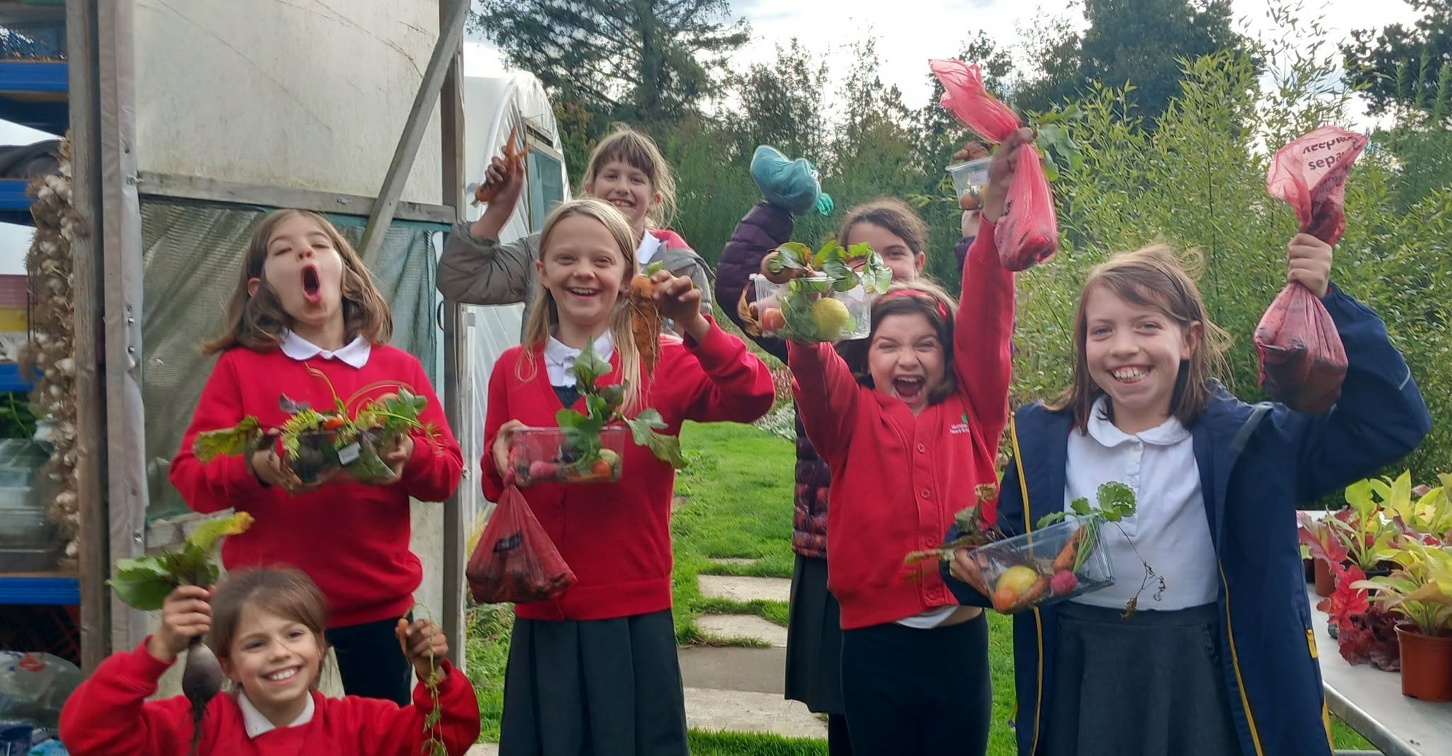 A group of seven girls standing holding various bags and trays of freshly-picked vegetables. They are standing beside a large polytunnel with potted plants to one side and a hedge in the background.